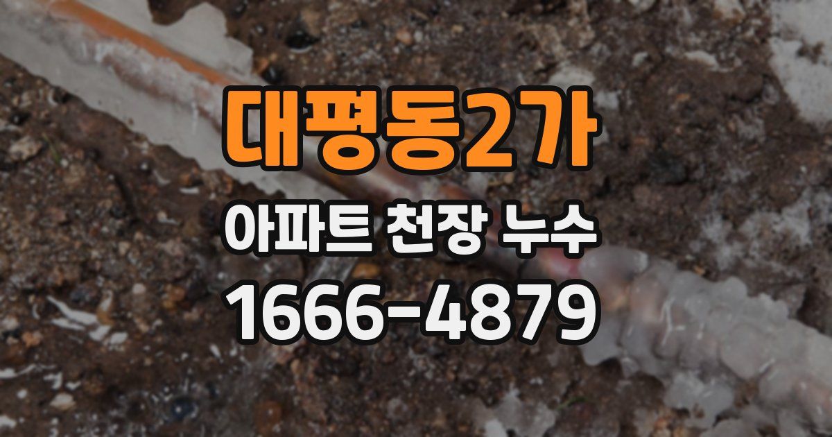 대평동2가 아파트 천장 누수