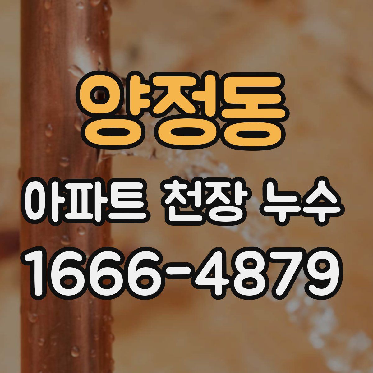 양정동 아파트 천장 누수