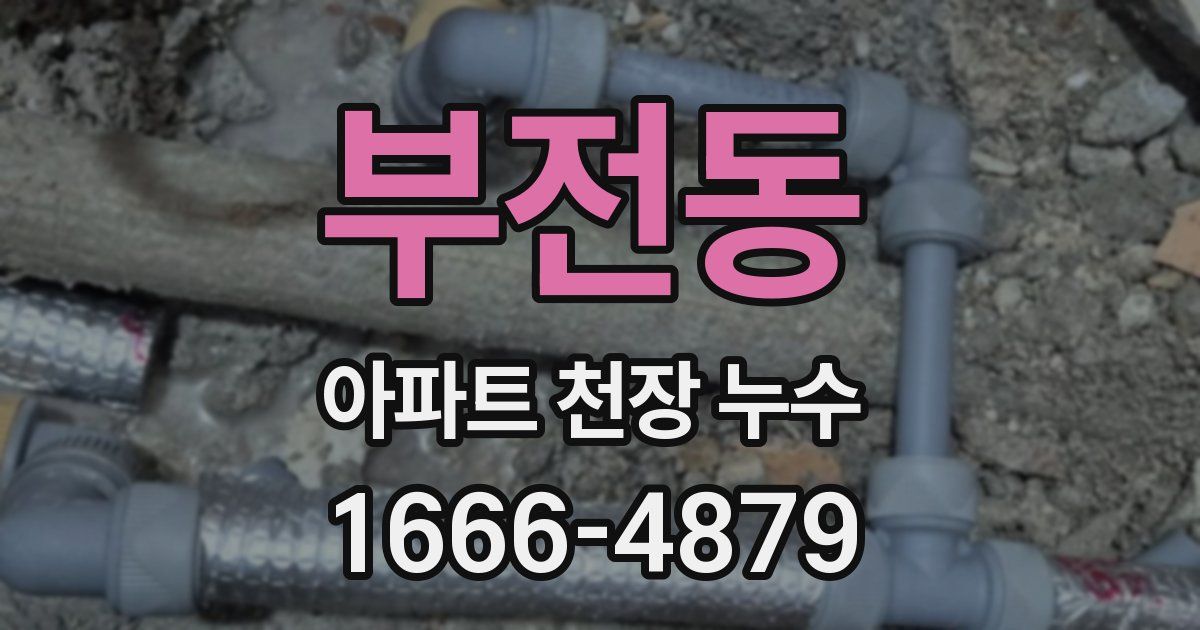 부전동 아파트 천장 누수