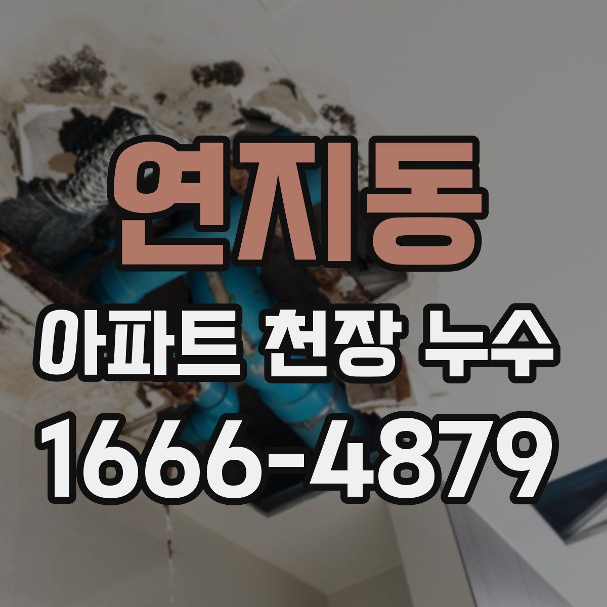 연지동 아파트 천장 누수