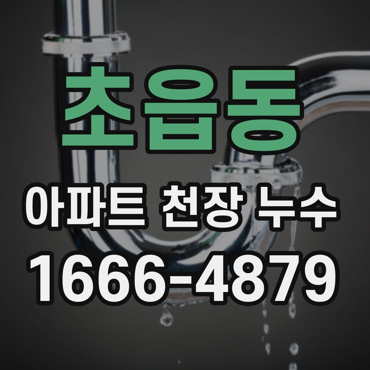 초읍동 아파트 천장 누수