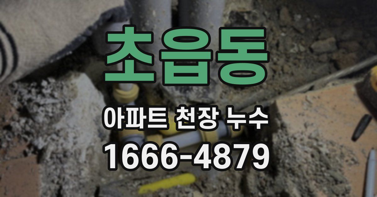초읍동 아파트 천장 누수
