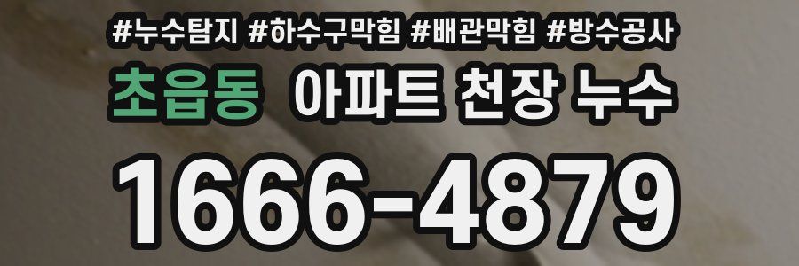 초읍동 아파트 천장 누수