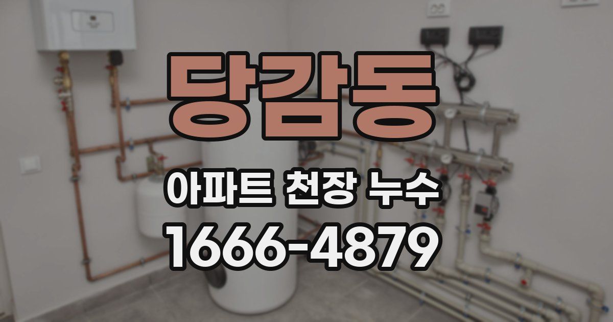 당감동 아파트 천장 누수