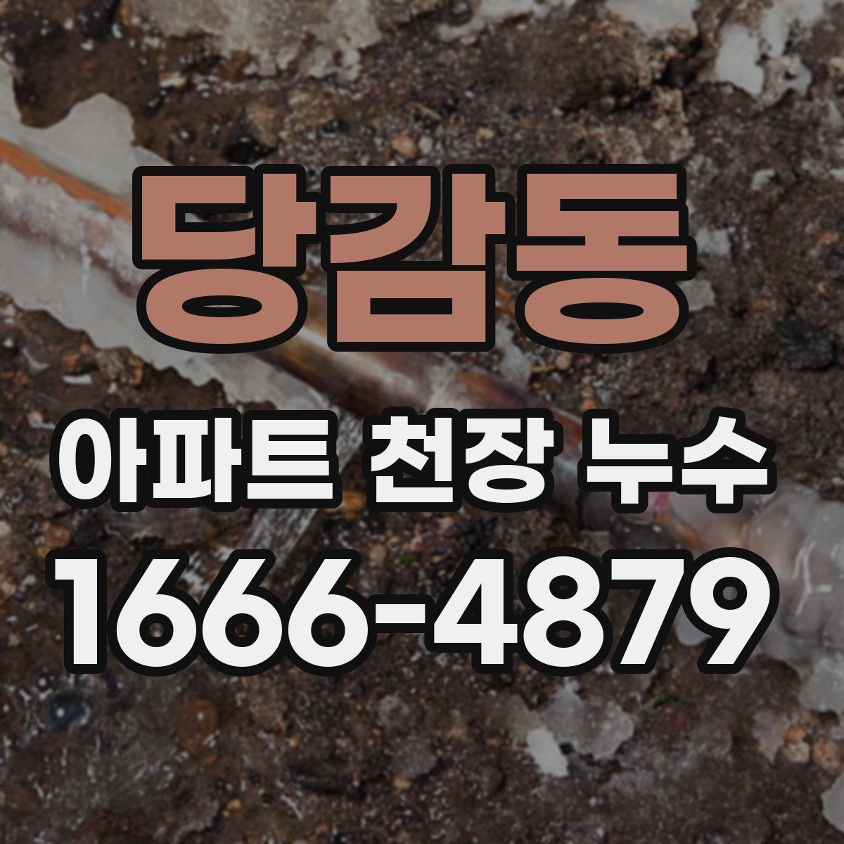 당감동 아파트 천장 누수