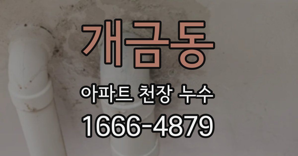 개금동 아파트 천장 누수