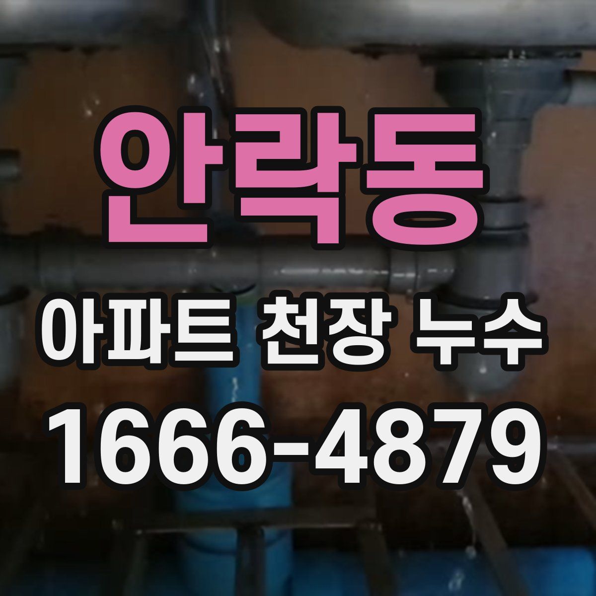안락동 아파트 천장 누수