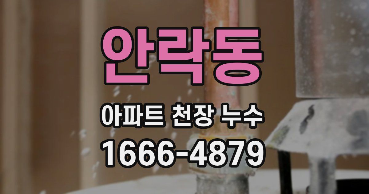 안락동 아파트 천장 누수