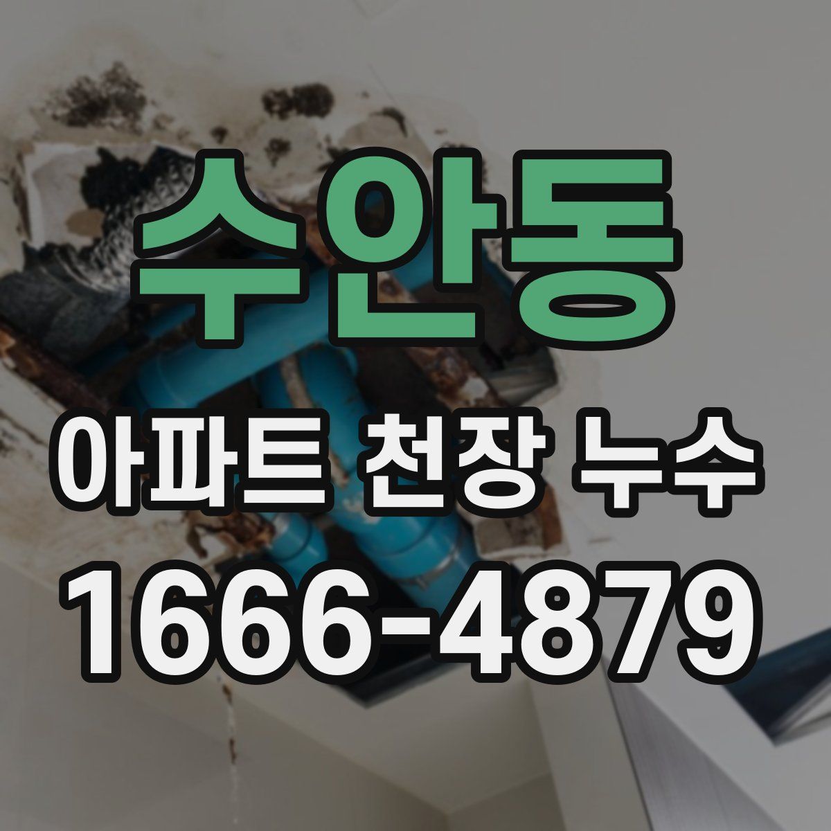 수안동 아파트 천장 누수