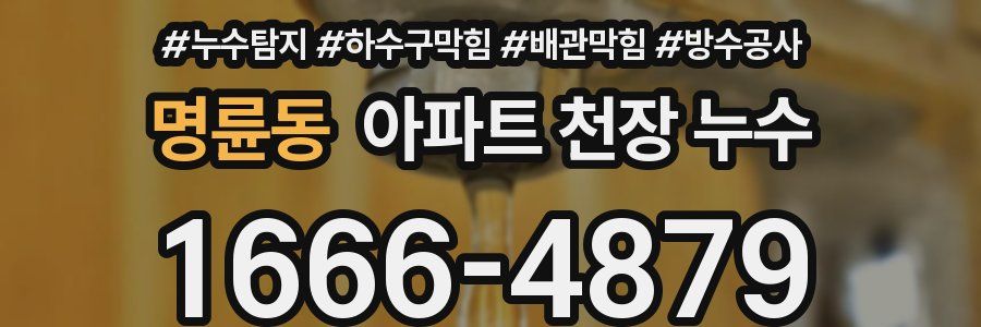 명륜동 아파트 천장 누수
