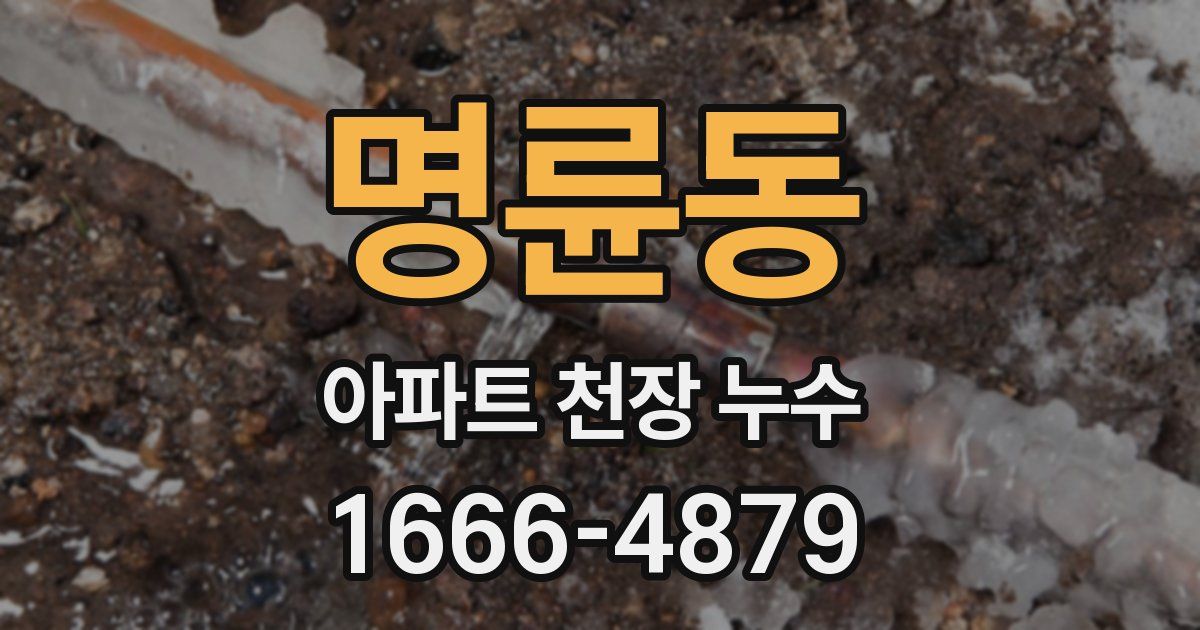 명륜동 아파트 천장 누수