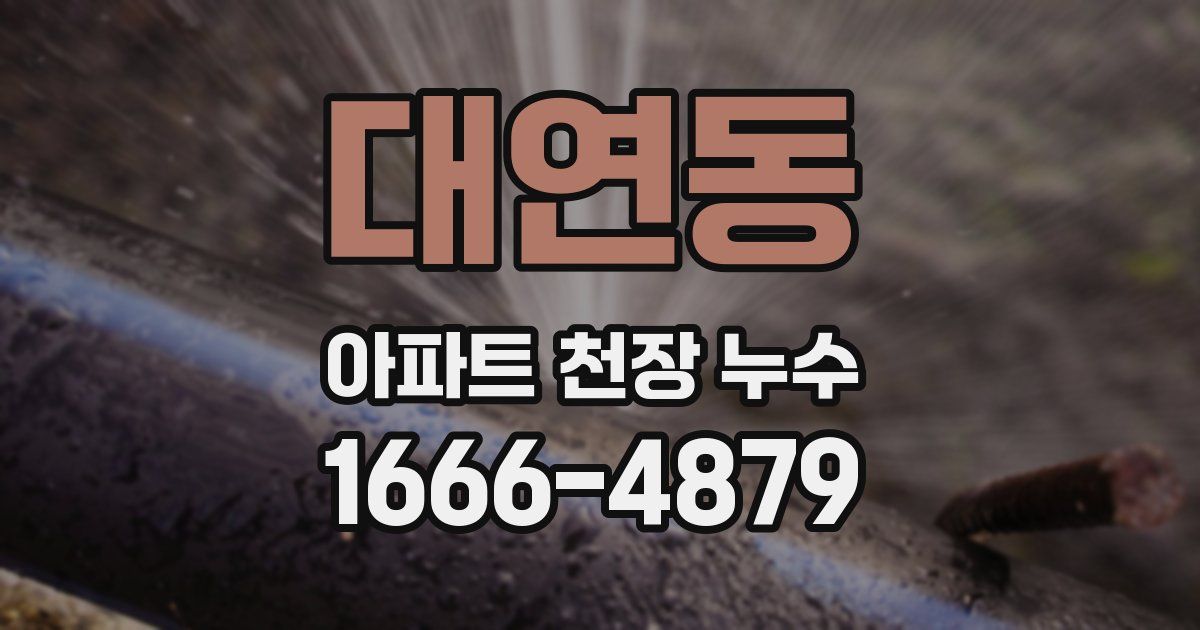 대연동 아파트 천장 누수