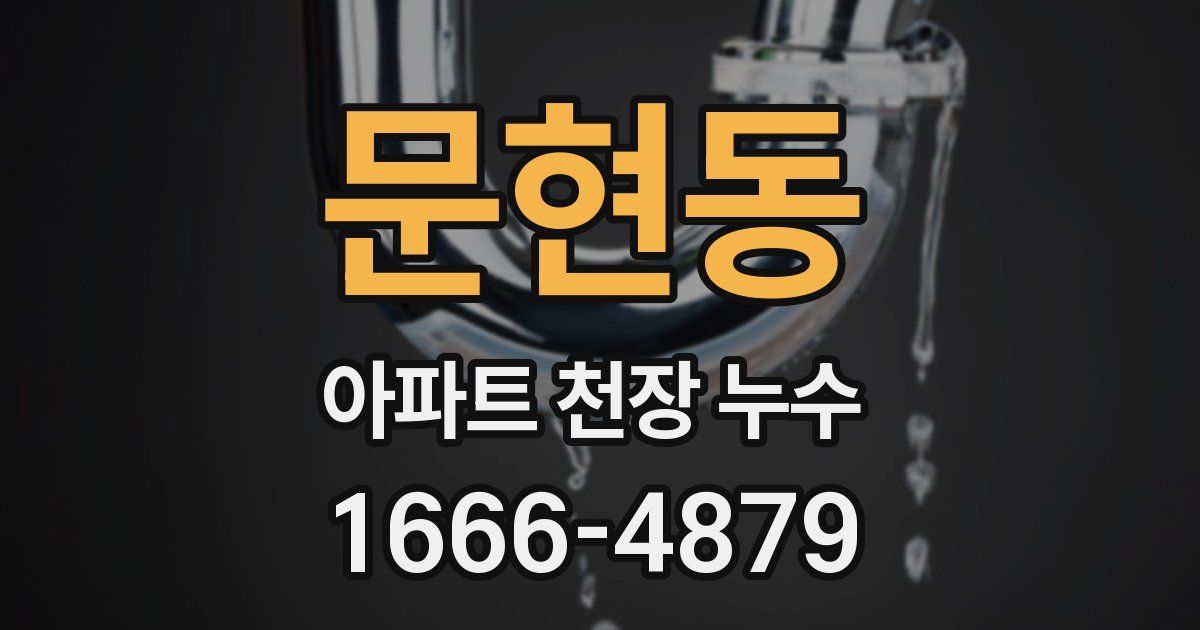 문현동 아파트 천장 누수