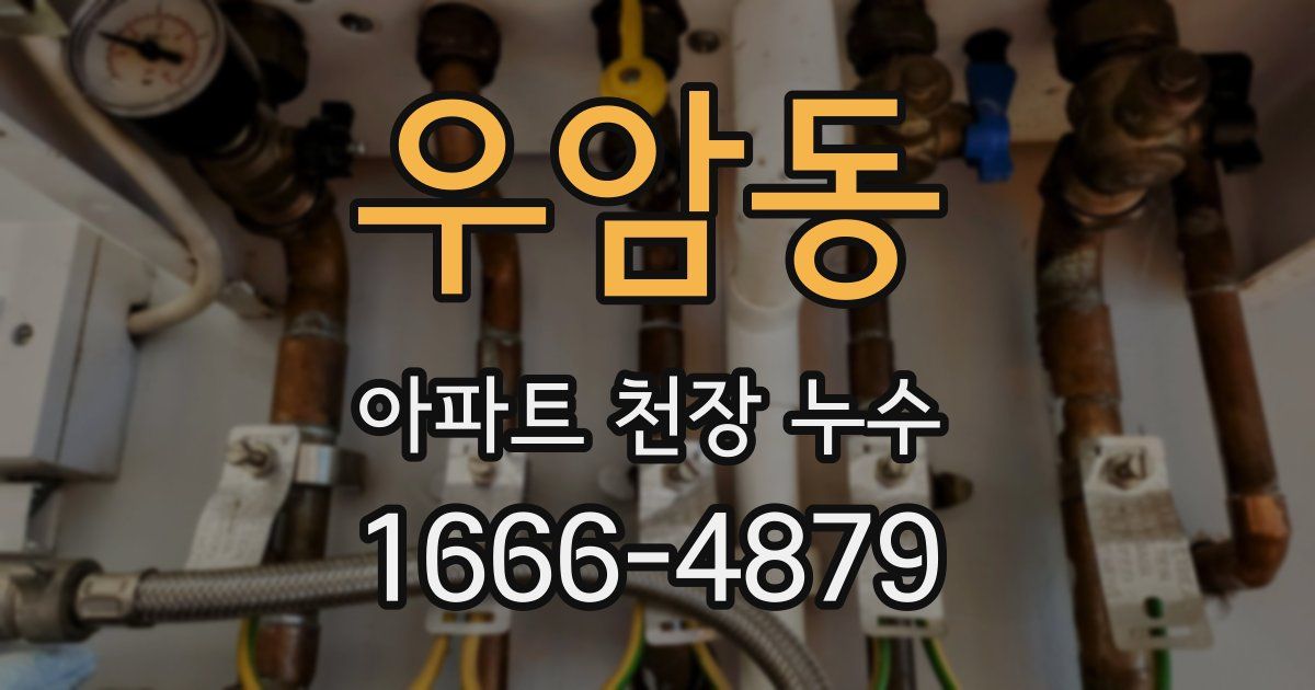 우암동 아파트 천장 누수