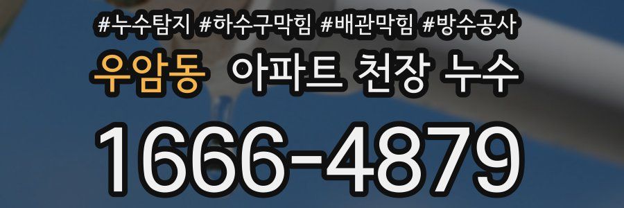 우암동 아파트 천장 누수