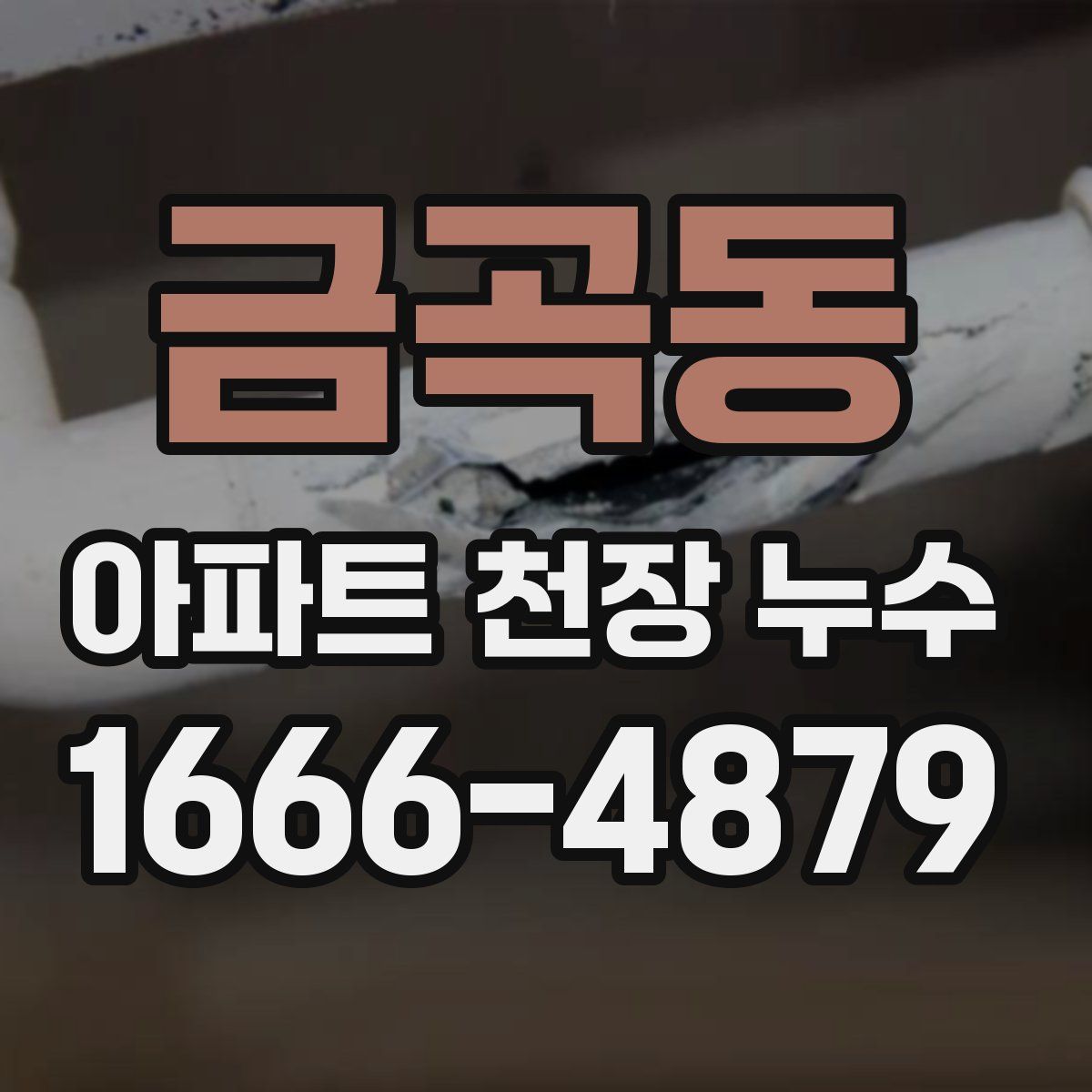 금곡동 아파트 천장 누수