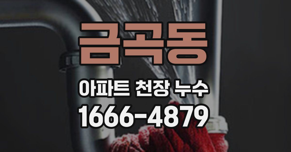 금곡동 아파트 천장 누수