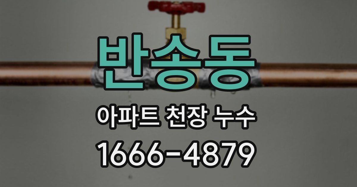 반송동 아파트 천장 누수
