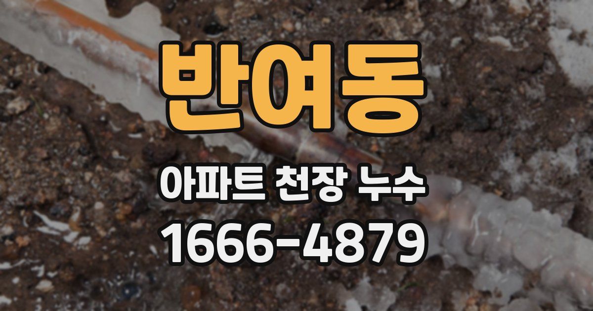 반여동 아파트 천장 누수