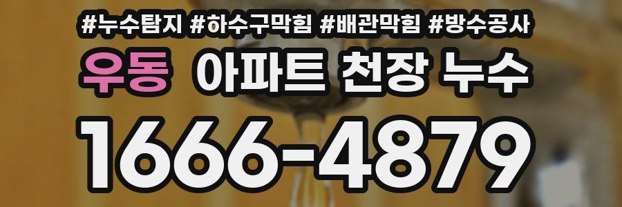우동 아파트 천장 누수