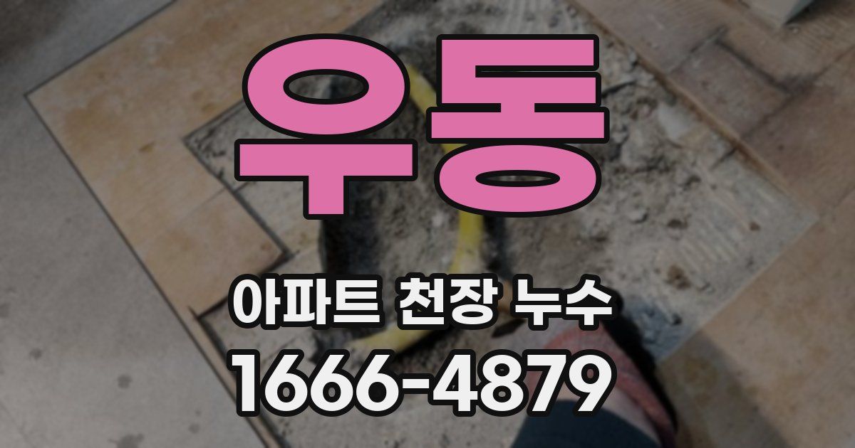 우동 아파트 천장 누수