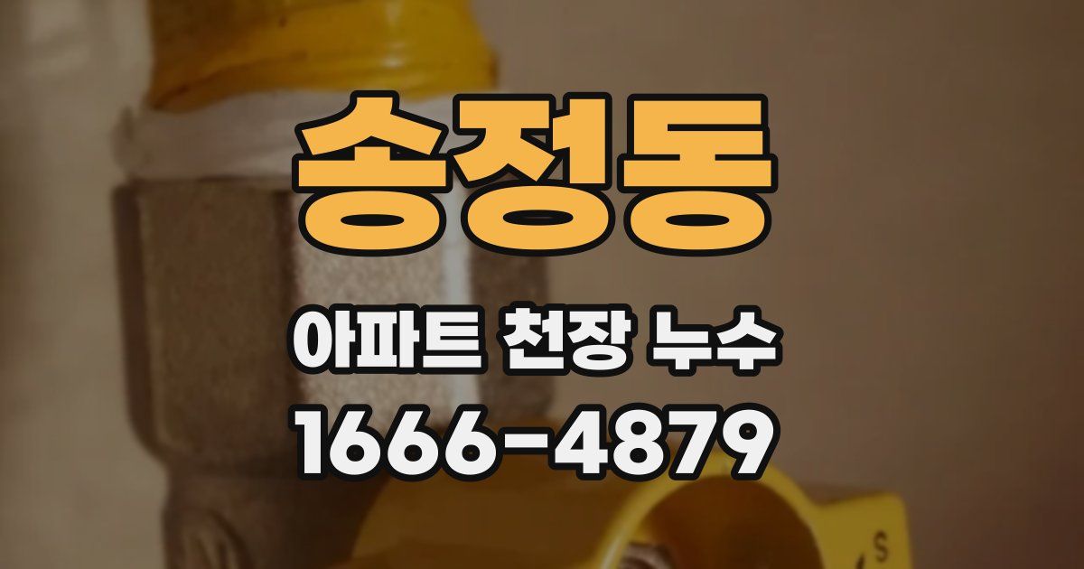 송정동 아파트 천장 누수
