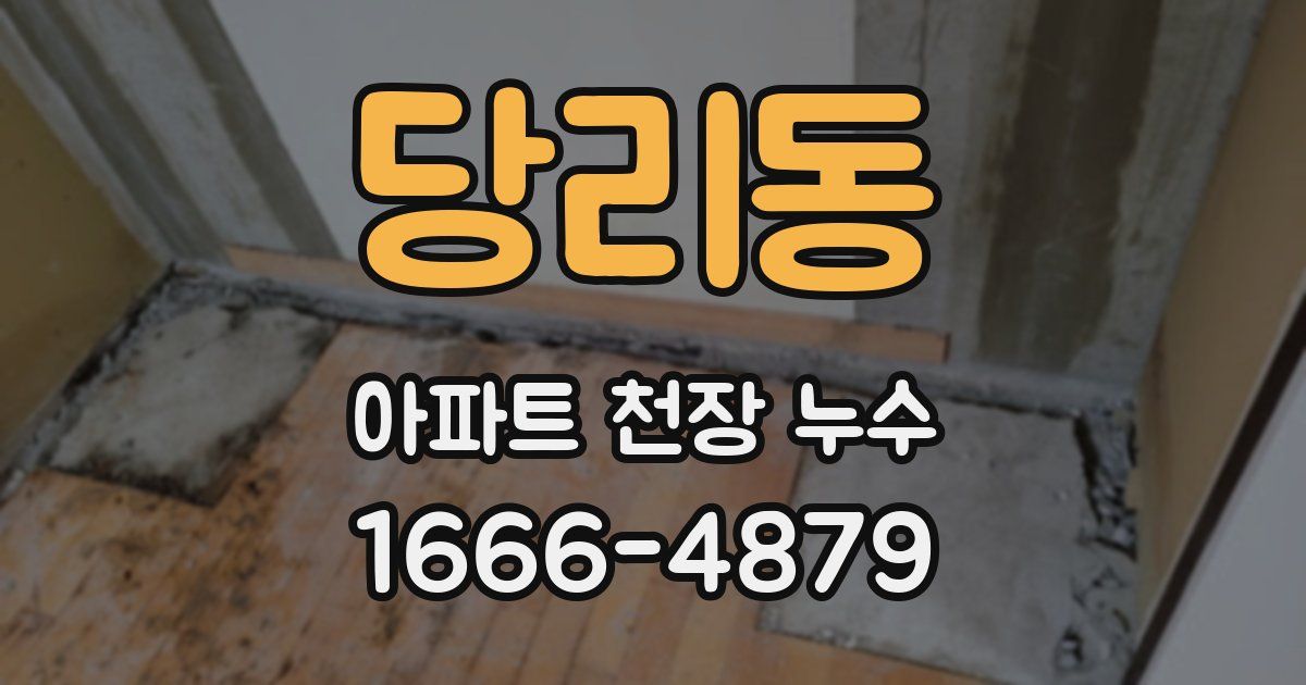 당리동 아파트 천장 누수
