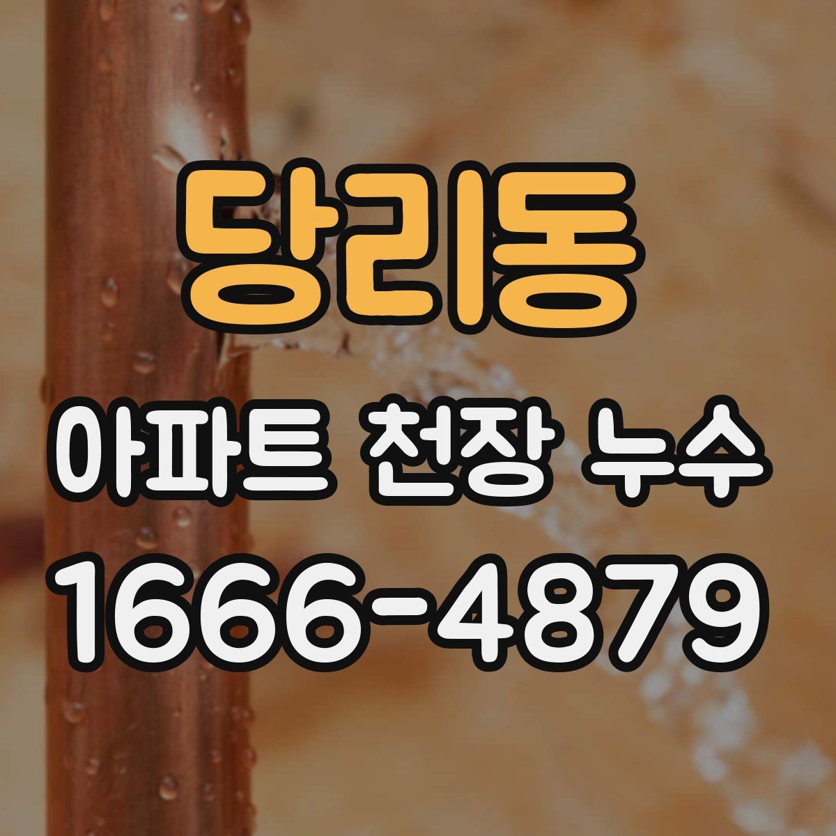 당리동 아파트 천장 누수