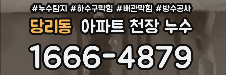당리동 아파트 천장 누수