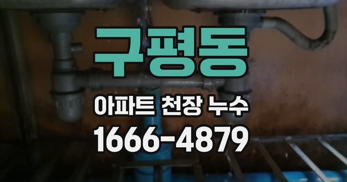 구평동 아파트 천장 누수
