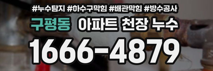 구평동 아파트 천장 누수