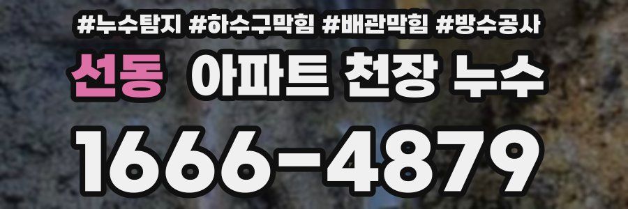 선동 아파트 천장 누수