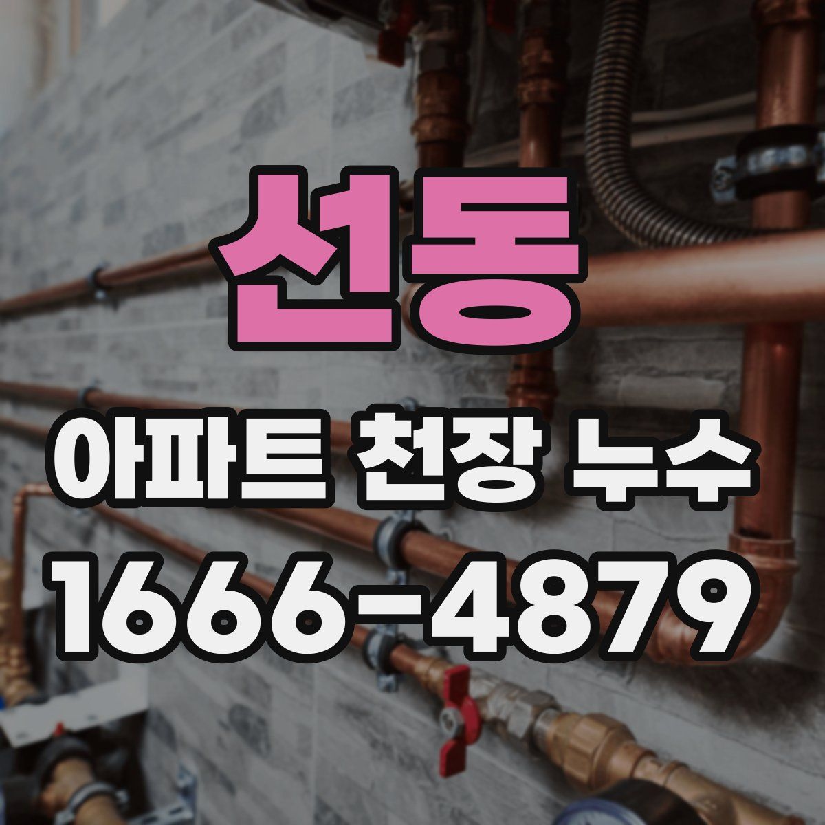 선동 아파트 천장 누수