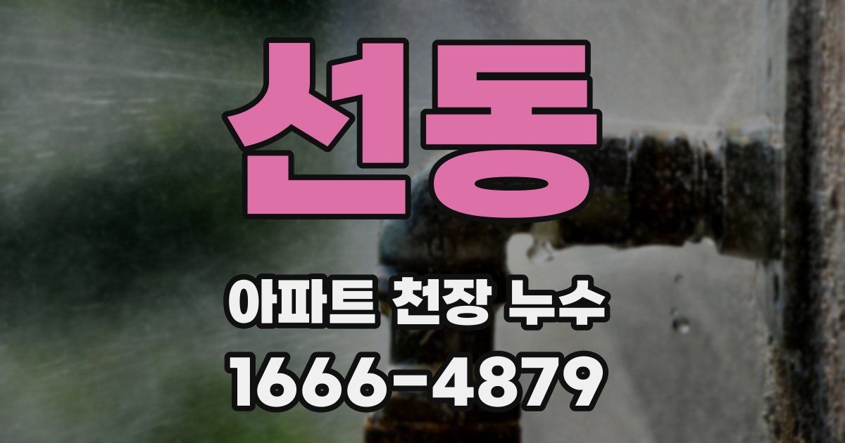 선동 아파트 천장 누수
