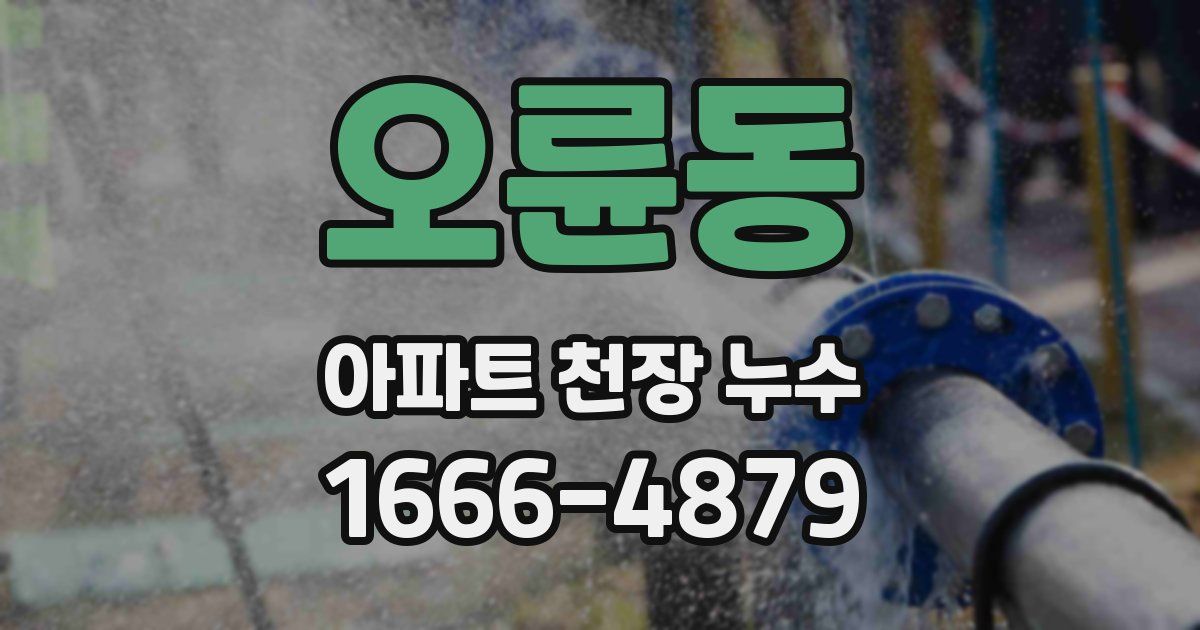 오륜동 아파트 천장 누수