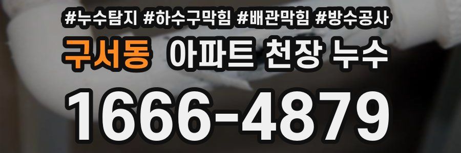 구서동 아파트 천장 누수