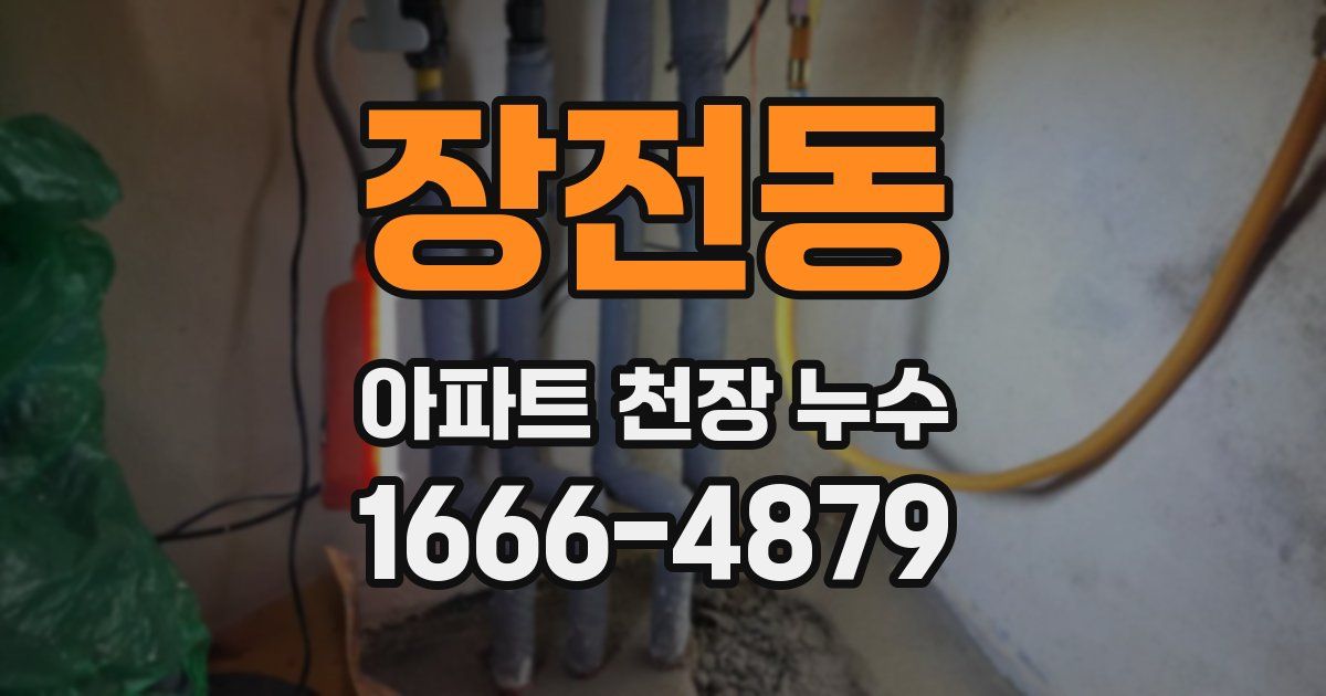장전동 아파트 천장 누수