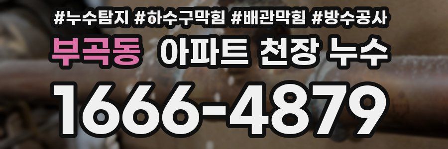부곡동 아파트 천장 누수