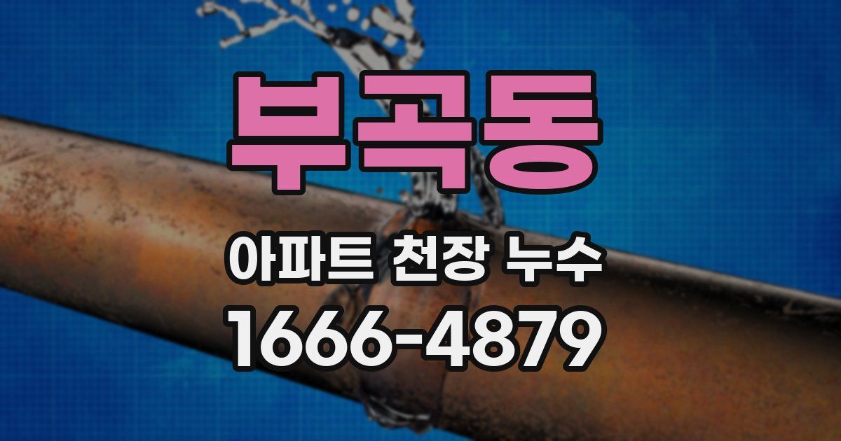 부곡동 아파트 천장 누수