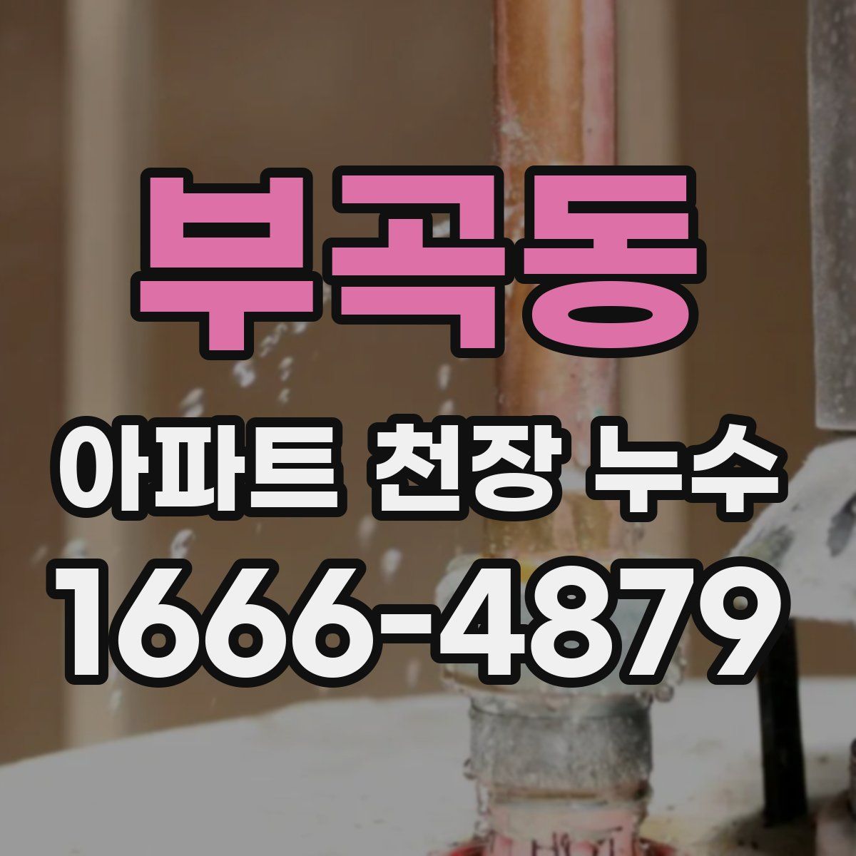 부곡동 아파트 천장 누수