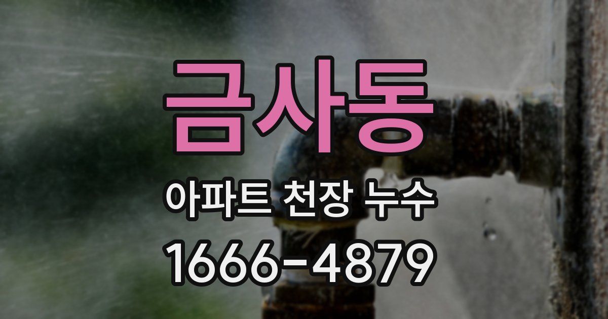 금사동 아파트 천장 누수