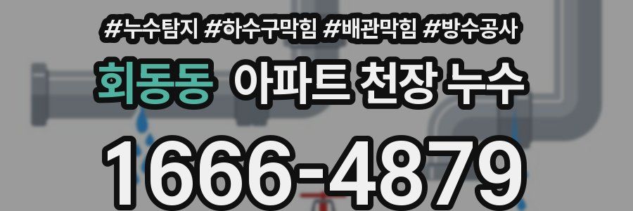 회동동 아파트 천장 누수
