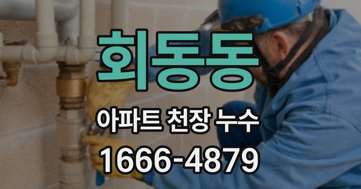 회동동 아파트 천장 누수