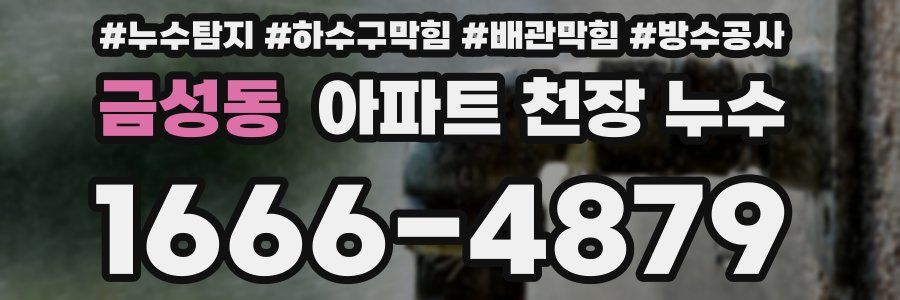 금성동 아파트 천장 누수
