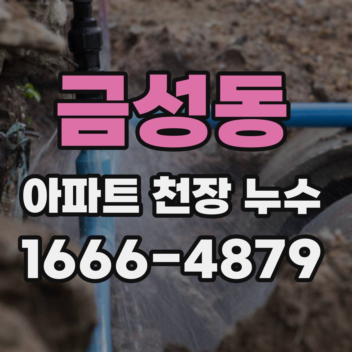 금성동 아파트 천장 누수