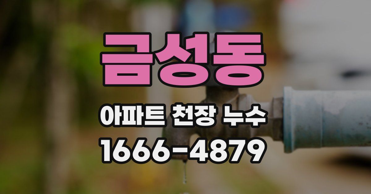 금성동 아파트 천장 누수