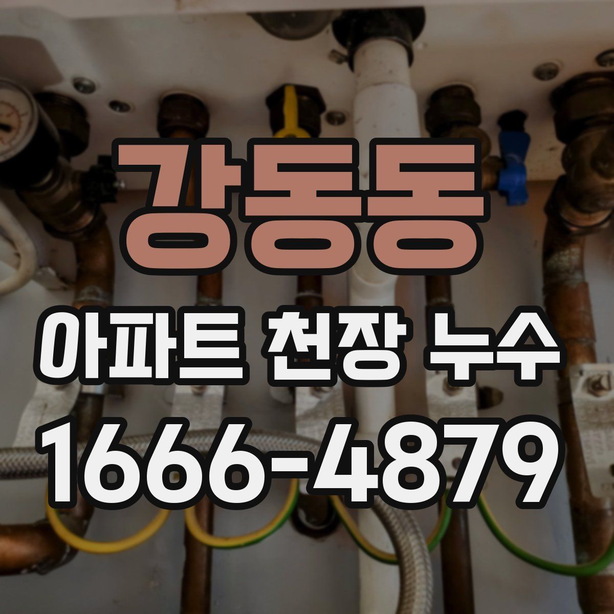 강동동 아파트 천장 누수