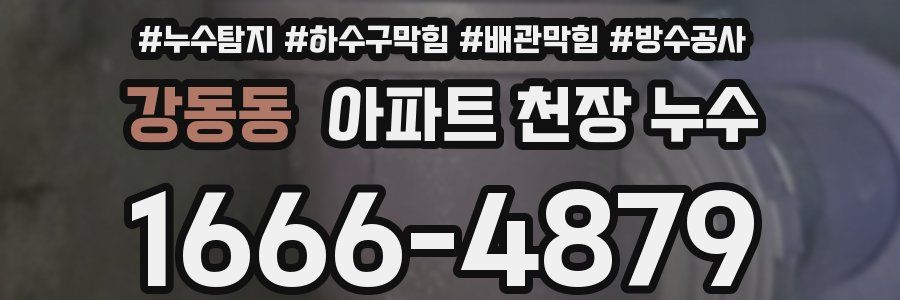 강동동 아파트 천장 누수