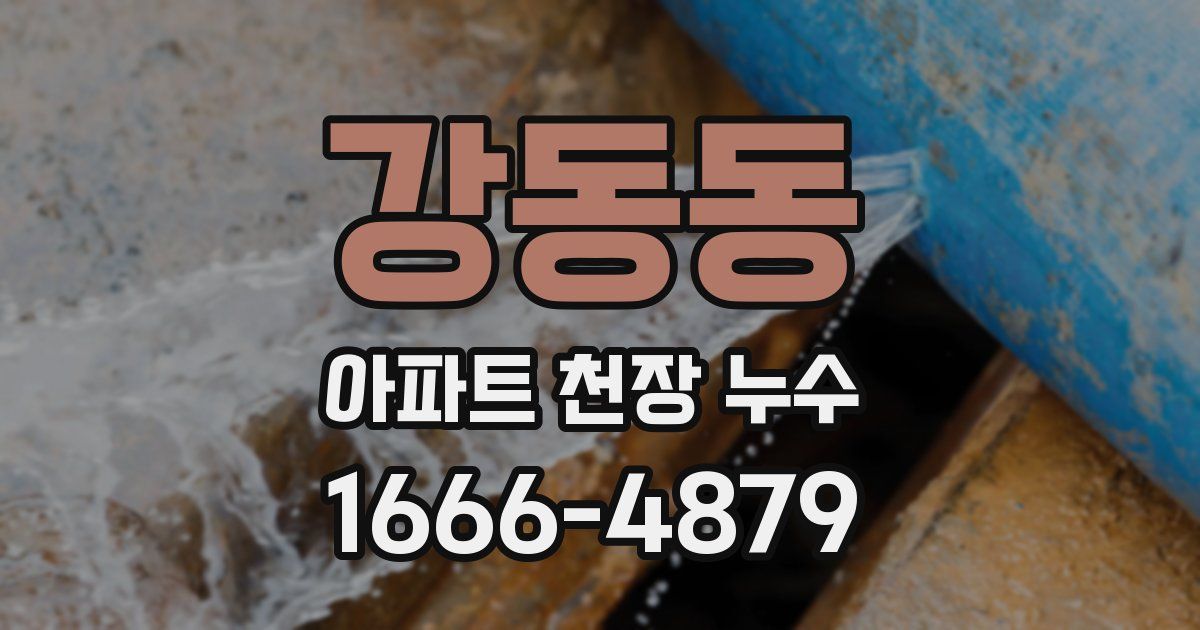 강동동 아파트 천장 누수