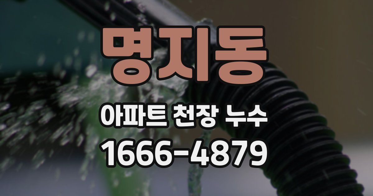명지동 아파트 천장 누수